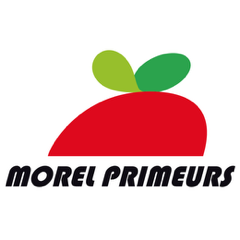 Morel Primeur